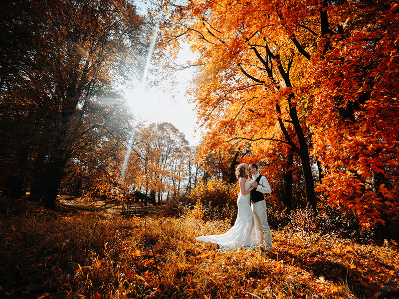 Fall & Winter Weddings